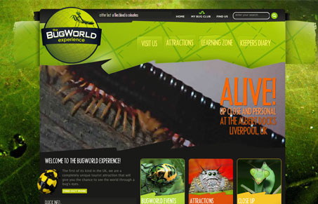 bugworldexperiencecouk
