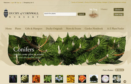 duchyofcornwallnurserycouk