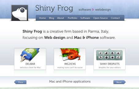 shinyfrognet
