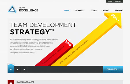 teamexcellencecom